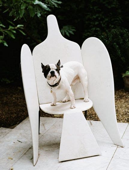yves saint laurent animal testing.jpg